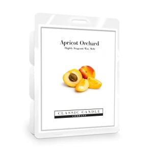 2022 Wax Melt Apricot Orchard