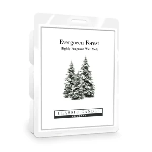 Evergreen Forest Wax Melt